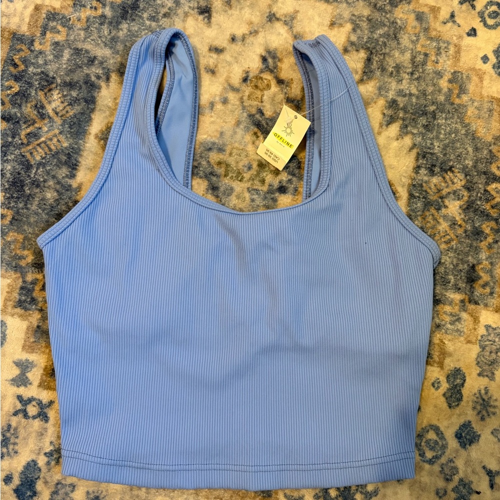 Aerie Blue Ribbed Sports Bra